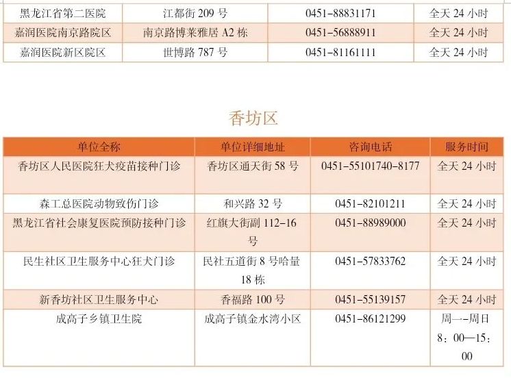 关于哈尔滨队主帅急需调整球员伤病情况，保持实力的信息