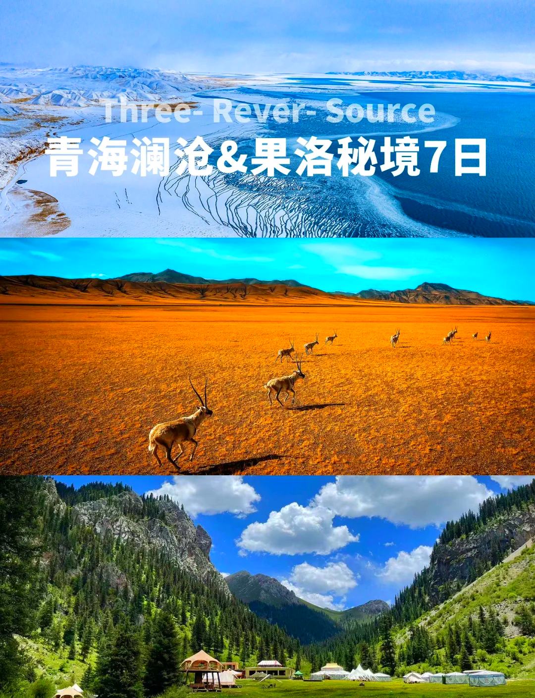 关于青海三江队实现胜利逆袭，豪取强劲胜利登顶的信息